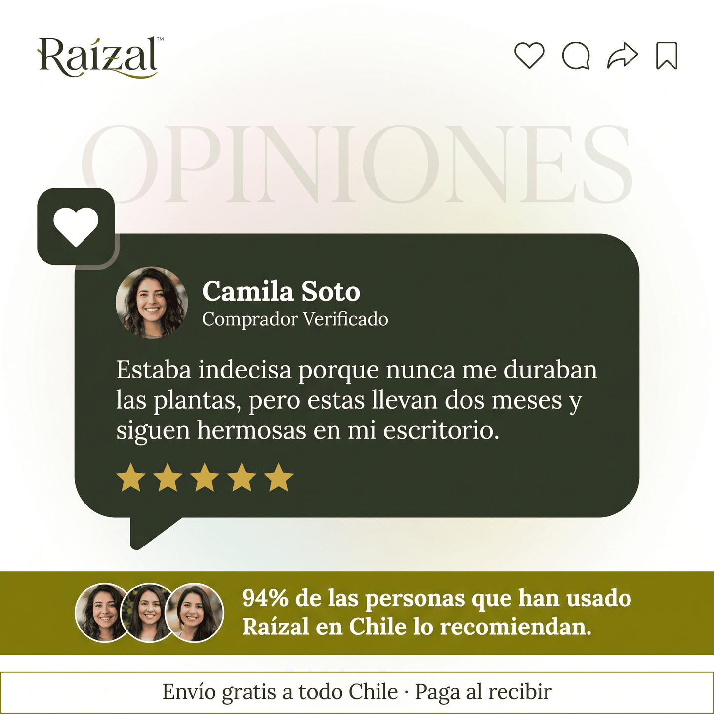 Raízal™ Mix de Esquejes de Suculentas Vivas