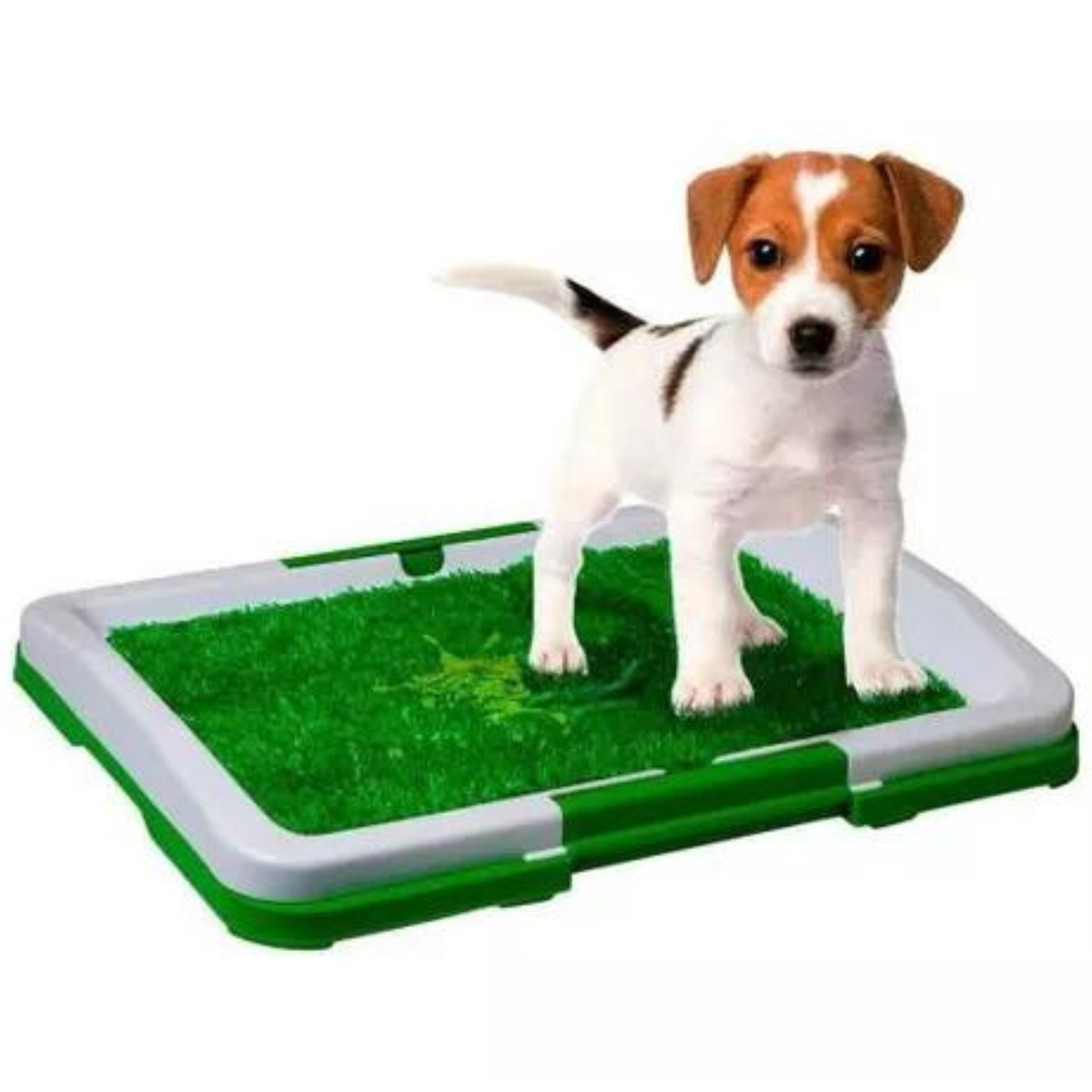 Alfombra Absorbente Para Perros