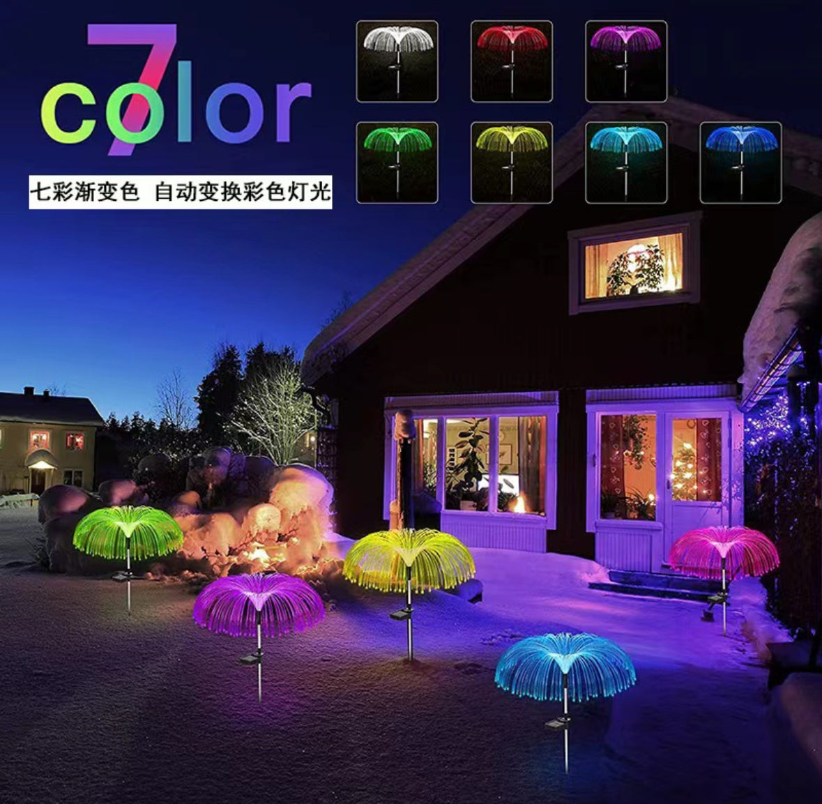 Pack 2  Medusas Solares Multicolor