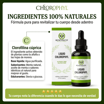 CHLOROPHYL™ Clorofila Líquida Concentrada – Suplemento Natural 2x1