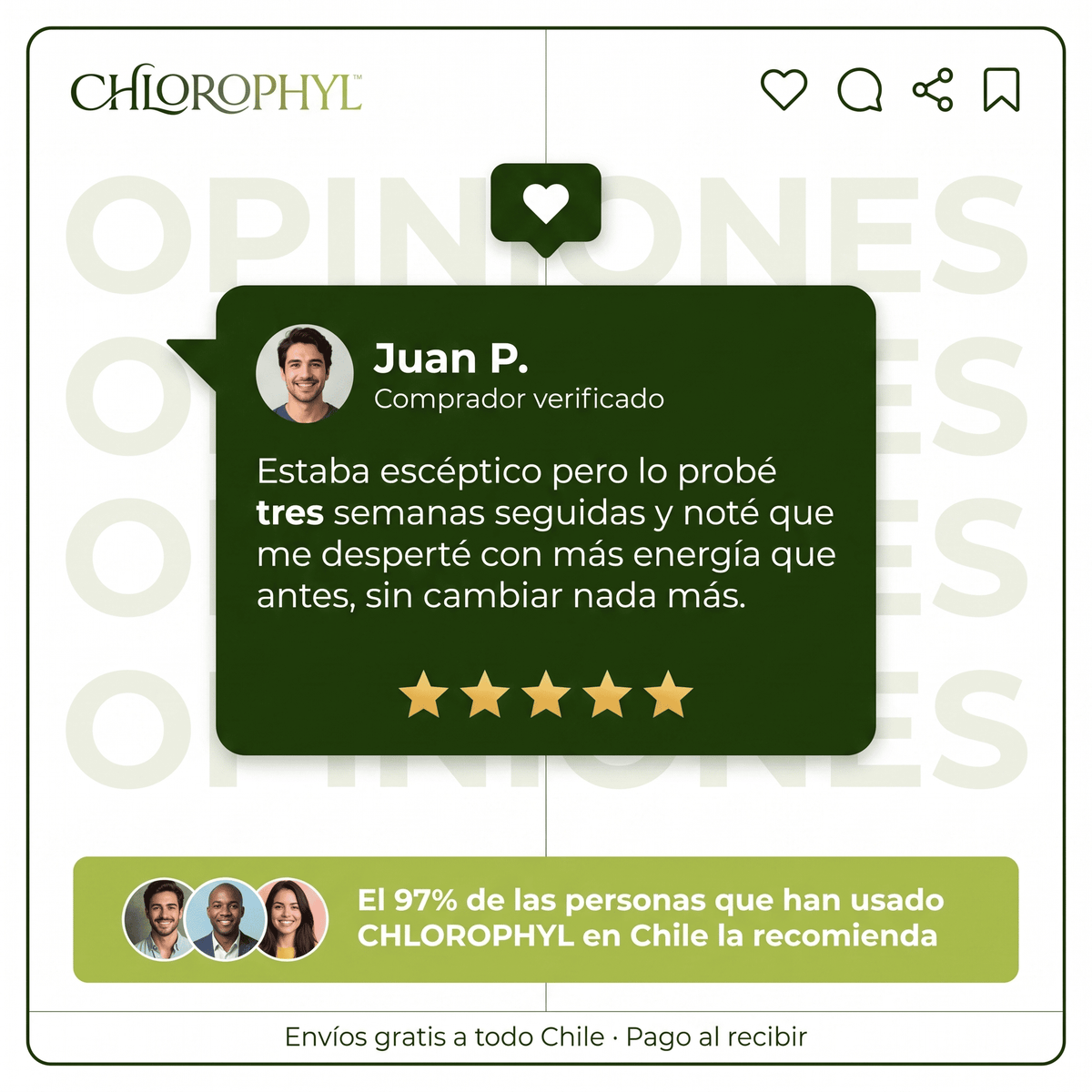CHLOROPHYL™ Clorofila Líquida Concentrada – Suplemento Natural 2x1